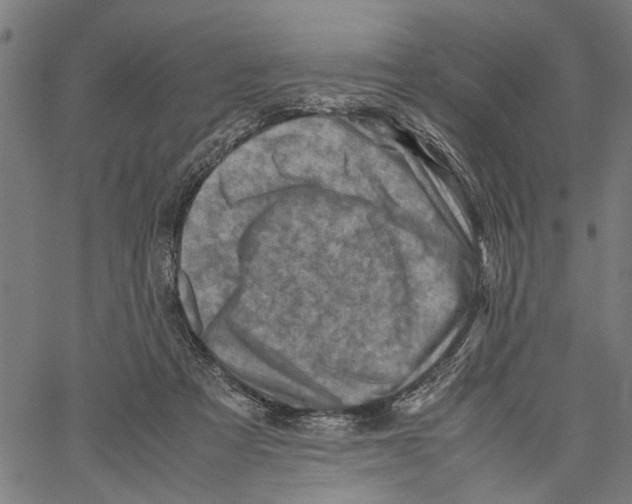 X0000062130313200601060904