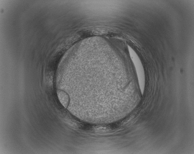 X0000062130315200601060904