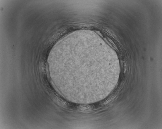 X0000062130317200601060904