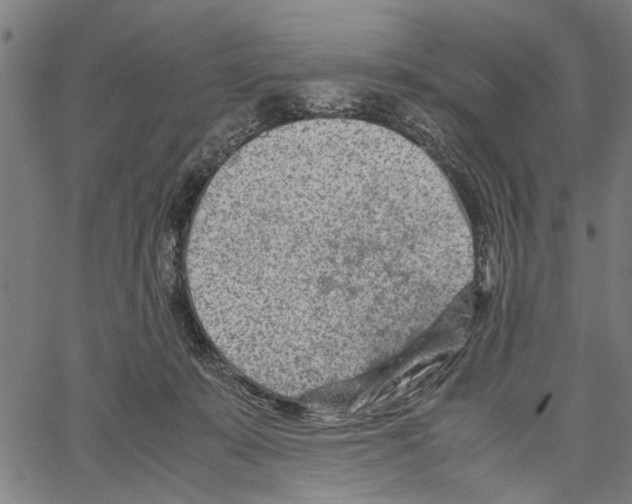 X0000062130319200601060904