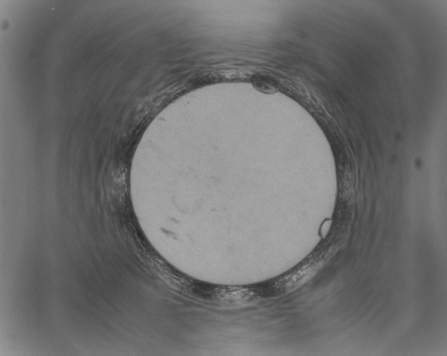 X0000062130321200601060904