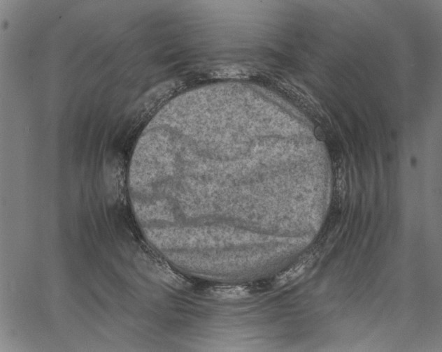 X0000062130322200601060904