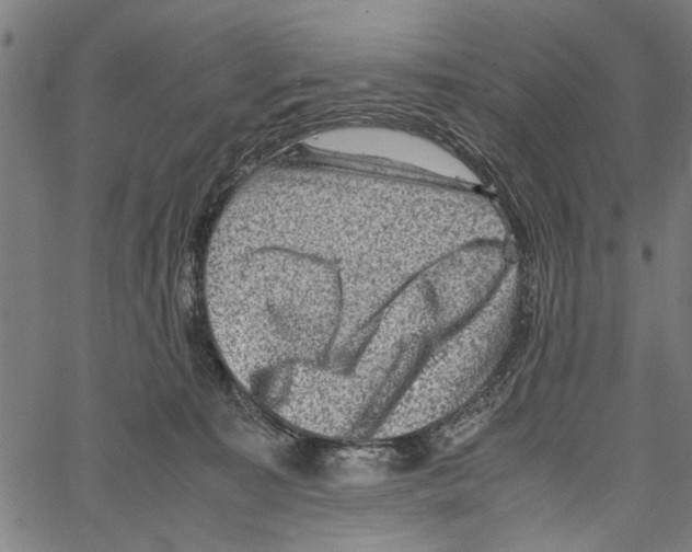 X0000062130323200601060904