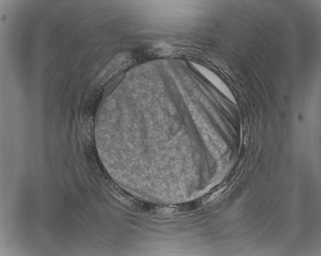 X0000062130325200601060904