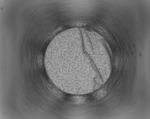 X0000062130326200601060904