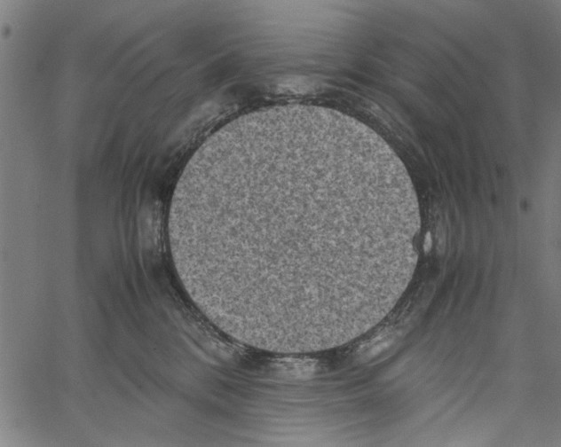 X0000062130328200601060904