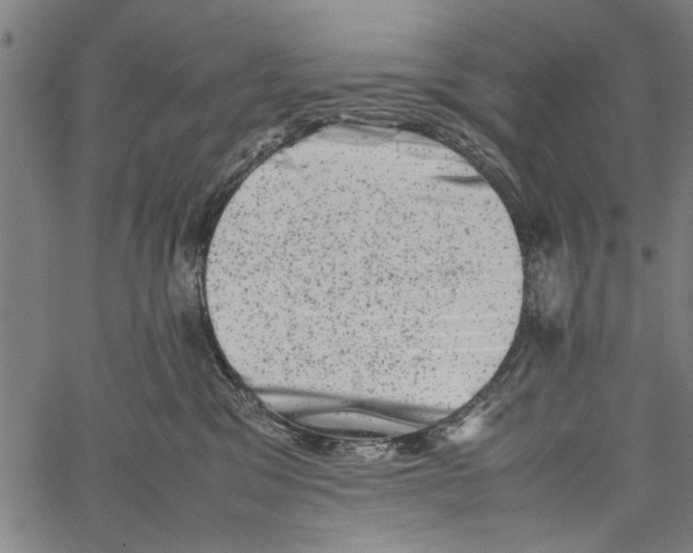 X0000062130329200601060904