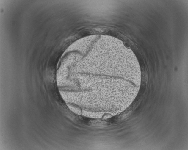 X0000062130331200601060904