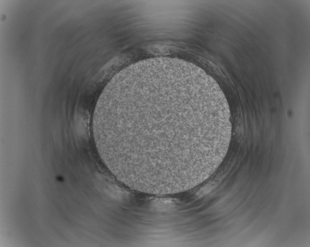 X0000062130332200601060904