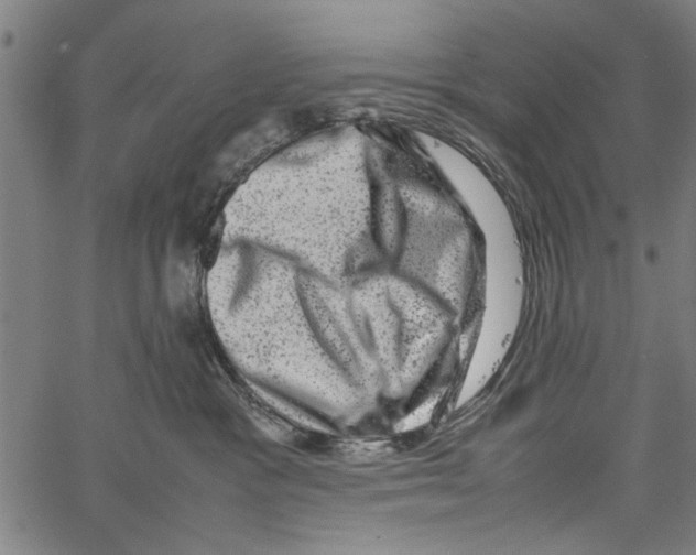 X0000062130333200601060904