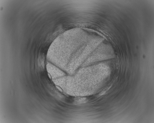 X0000062130334200601060904