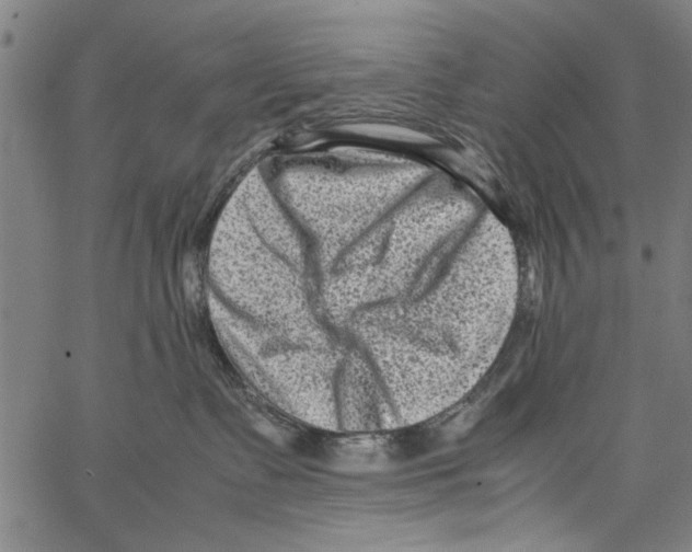 X0000062130335200601060904