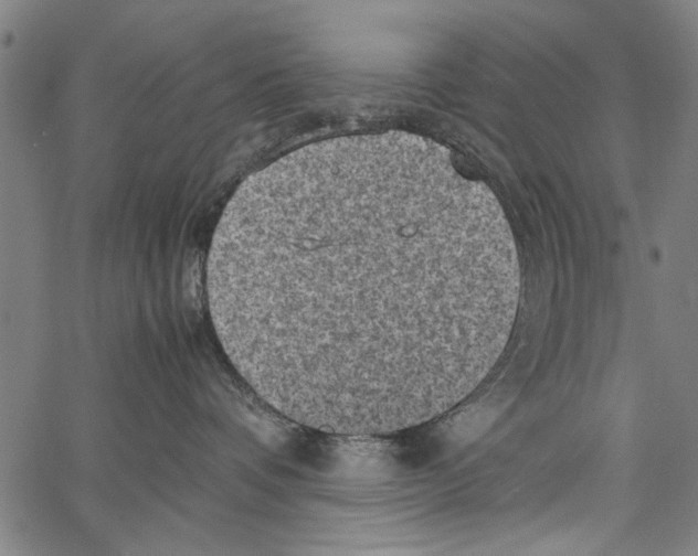 X0000062130336200601060904