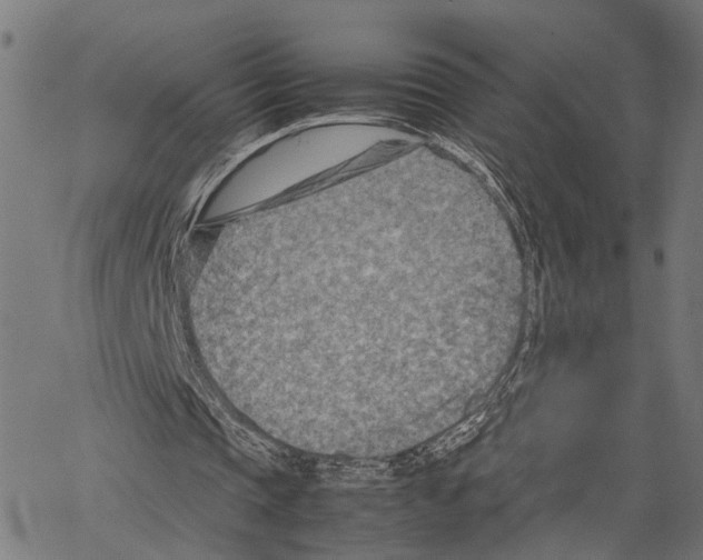 X0000062130337200601060903