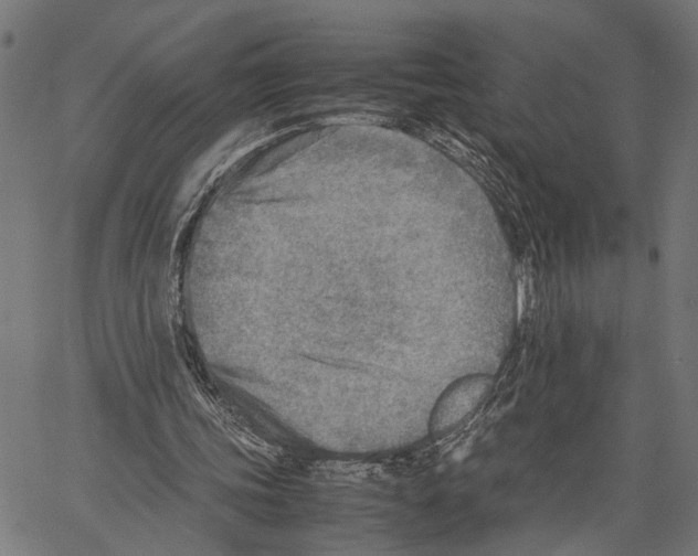 X0000062130339200601060903