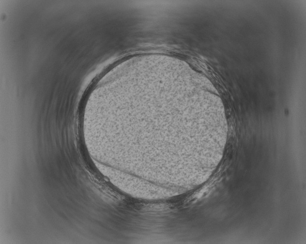 X0000062130342200601060903