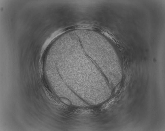 X0000062130343200601060903