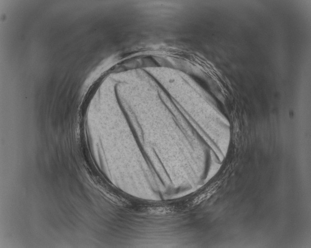 X0000062130344200601060903