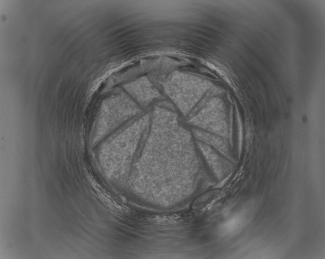 X0000062130345200601060903