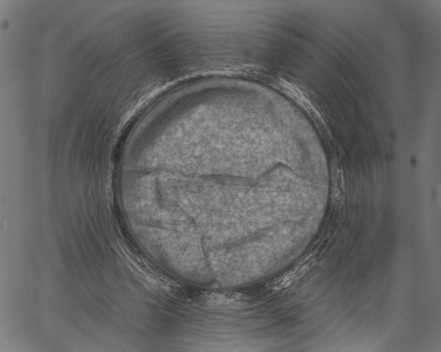 X0000062130346200601060903