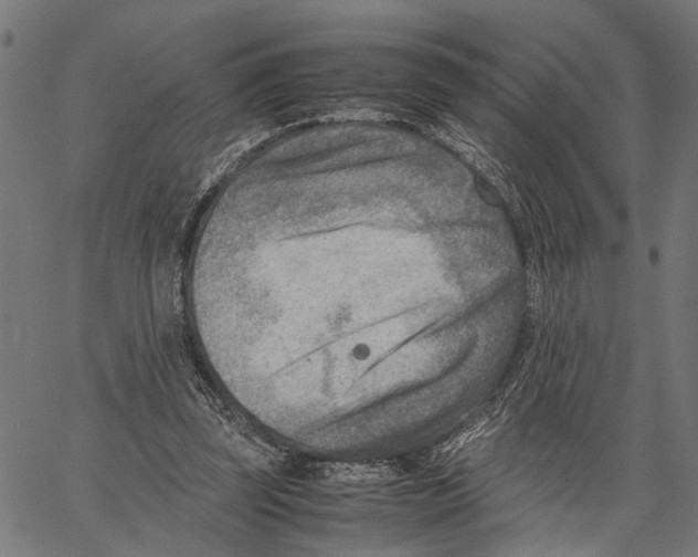 X0000062130347200601060903