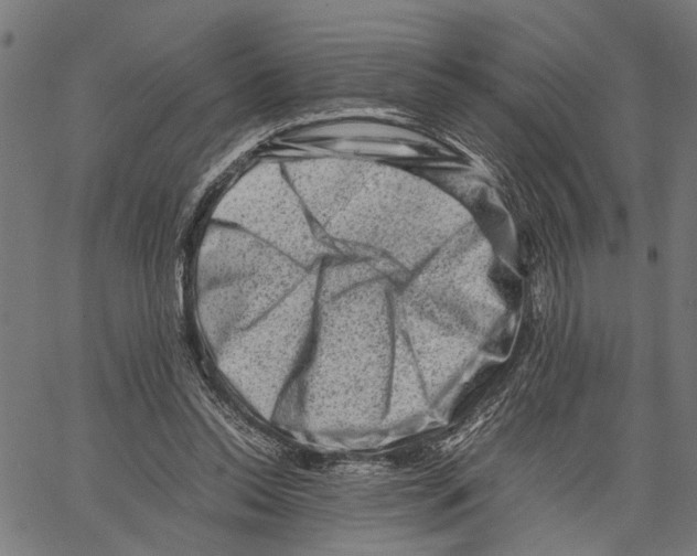 X0000062130350200601060903