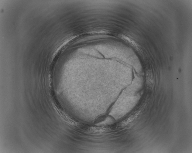 X0000062130351200601060903