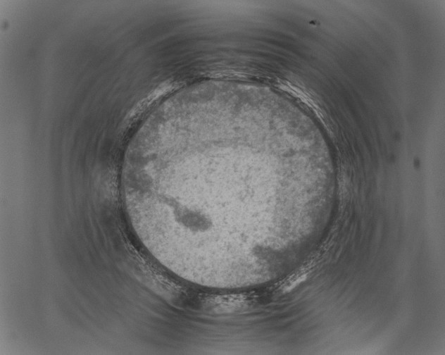 X0000062130353200601060903