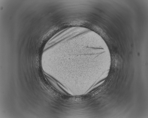 X0000062130354200601060903