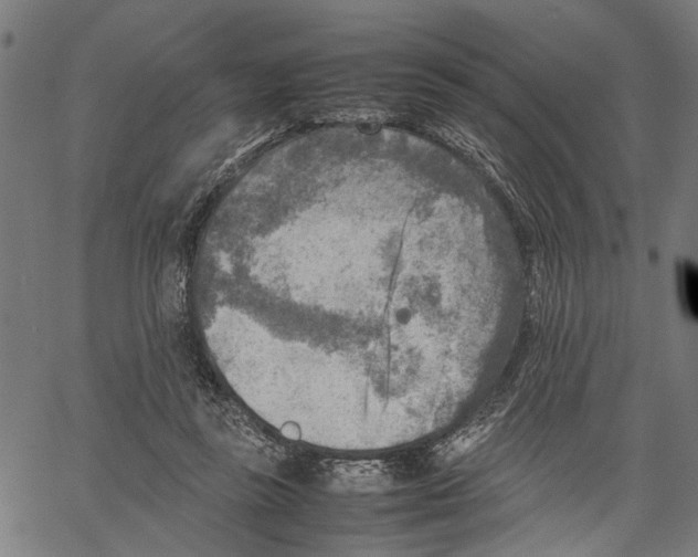 X0000062130355200601060903