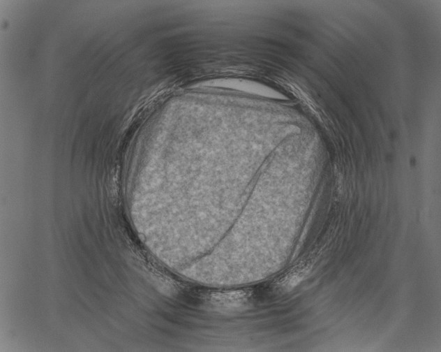 X0000062130357200601060903