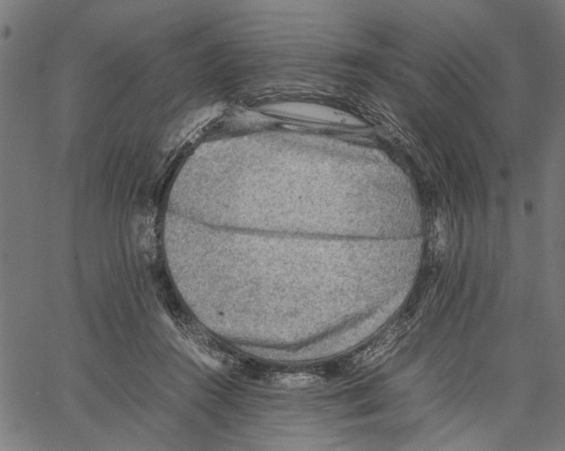 X0000062130360200601060903