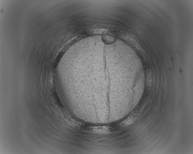 X0000062130363200601060903