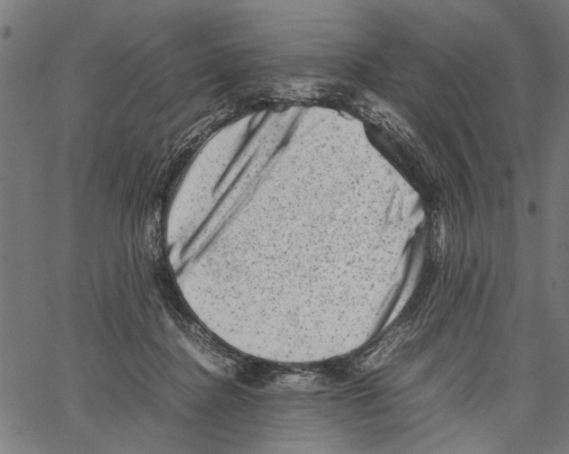 X0000062130364200601060903