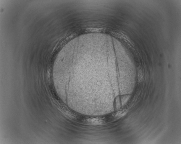 X0000062130365200601060903