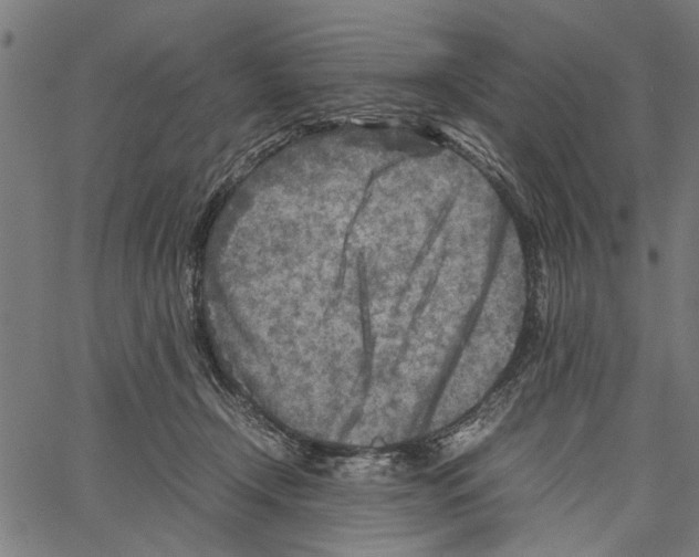 X0000062130366200601060903