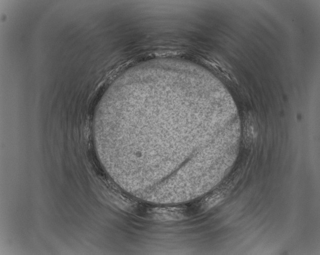 X0000062130367200601060903