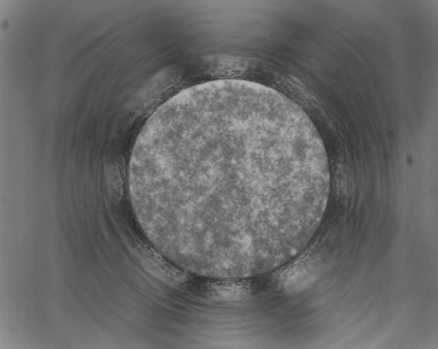 X0000062130370200601060903