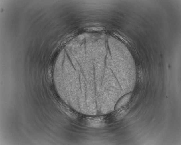 X0000062130373200601060903