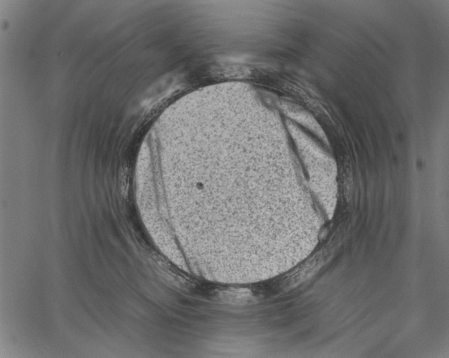 X0000062130374200601060903