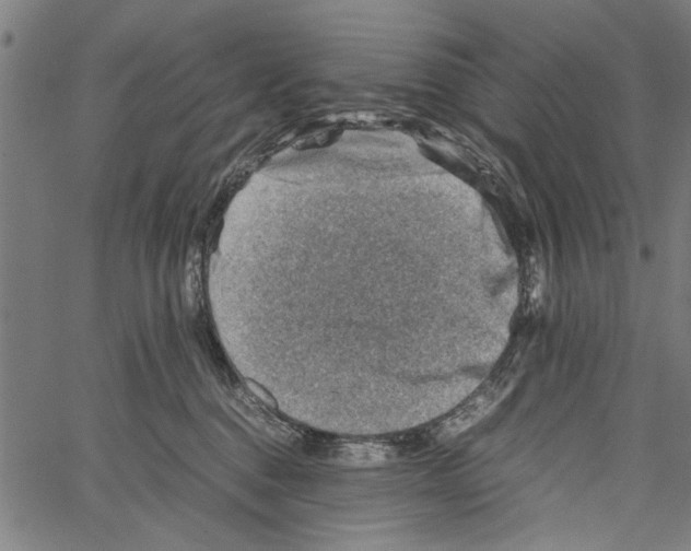 X0000062130376200601060903