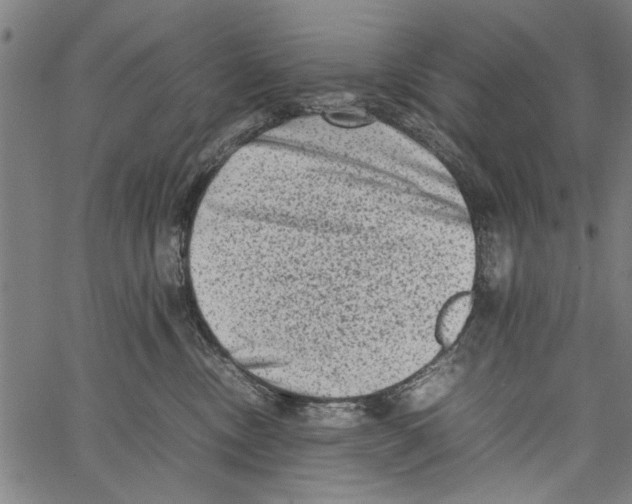 X0000062130378200601060903