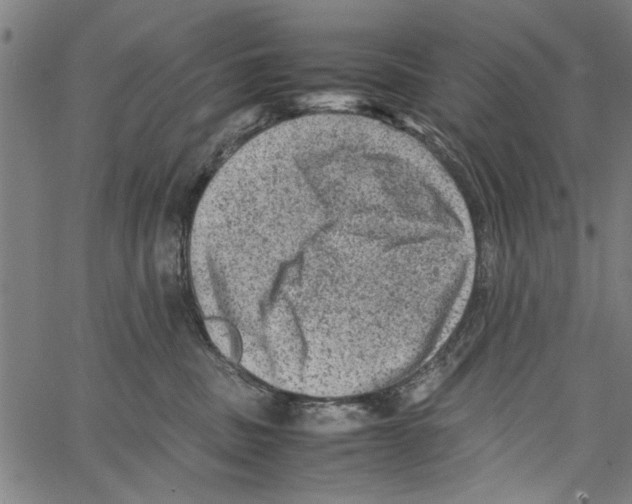 X0000062130379200601060904