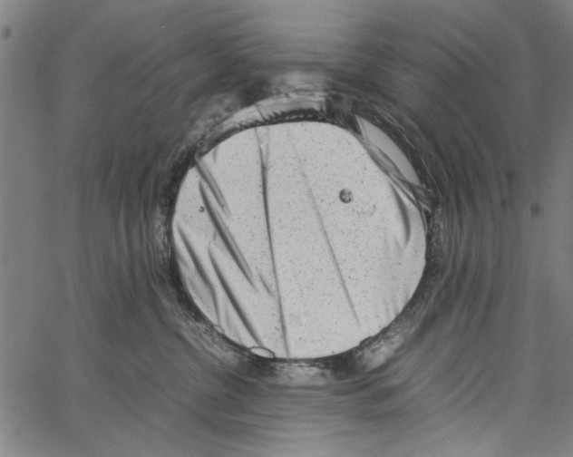 X0000062130380200601060904