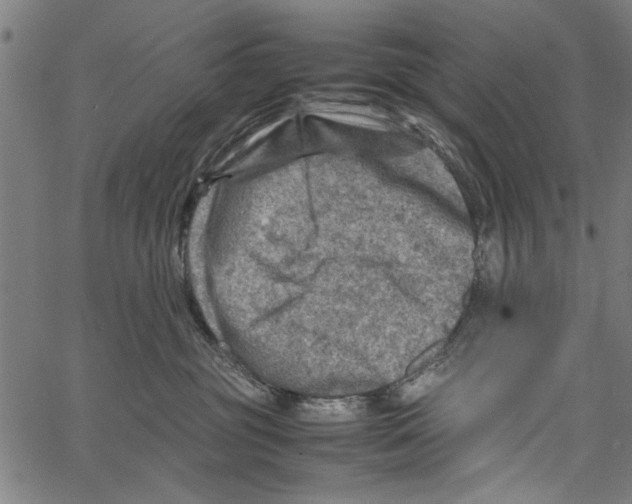 X0000062130381200601060904