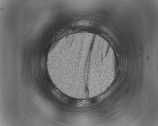 X0000062130382200601060904