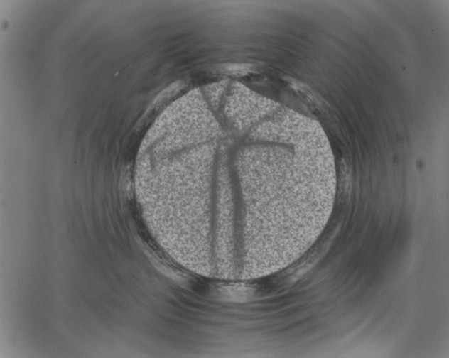 X0000062130383200601060904