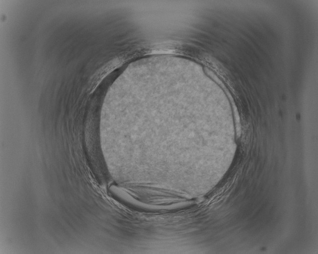 X0000062130385200601060903