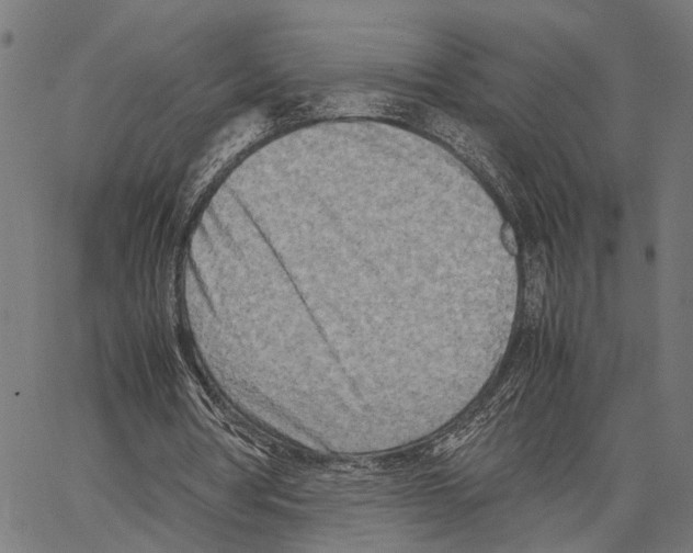 X0000062130386200601060903