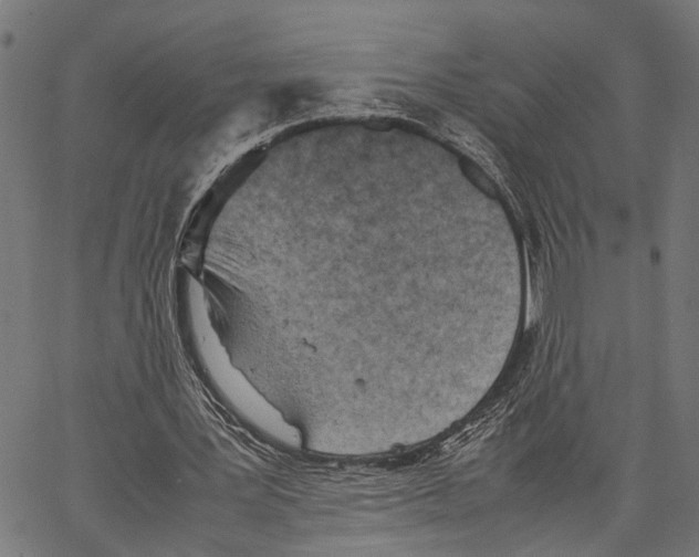 X0000062130387200601060903